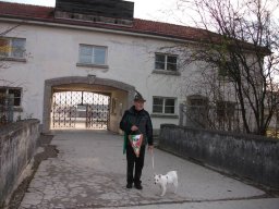 2010